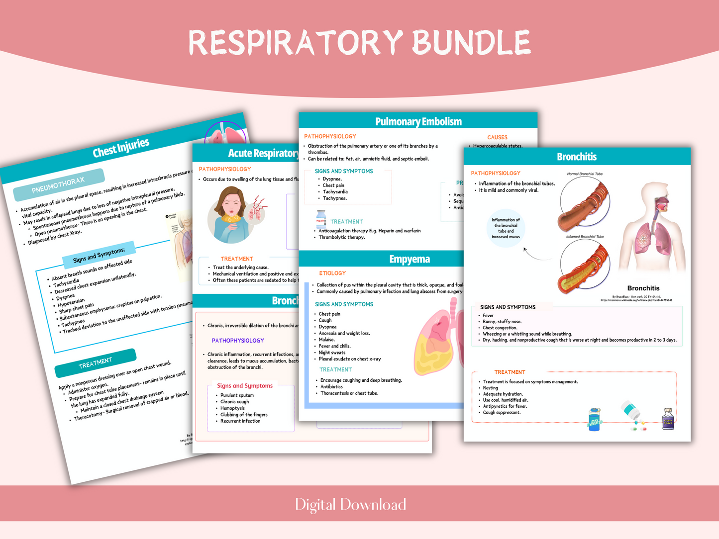 Respiratory System Notes