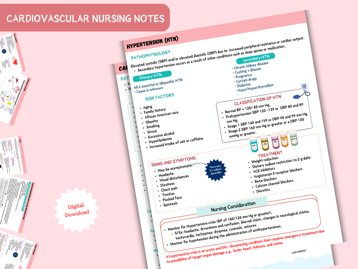 Cardiovascular System Notes