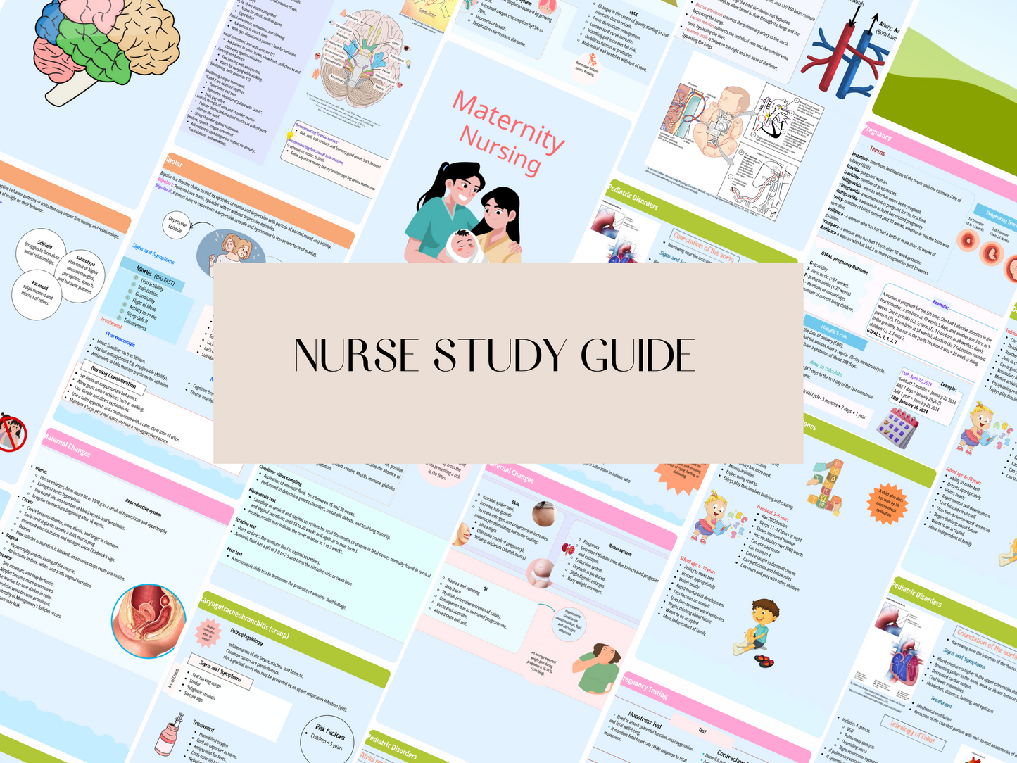 Comprehensive Nursing Review