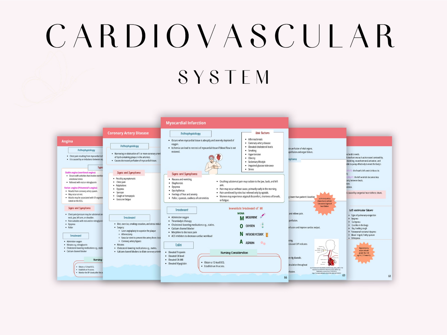 Cardiovascular System Notes