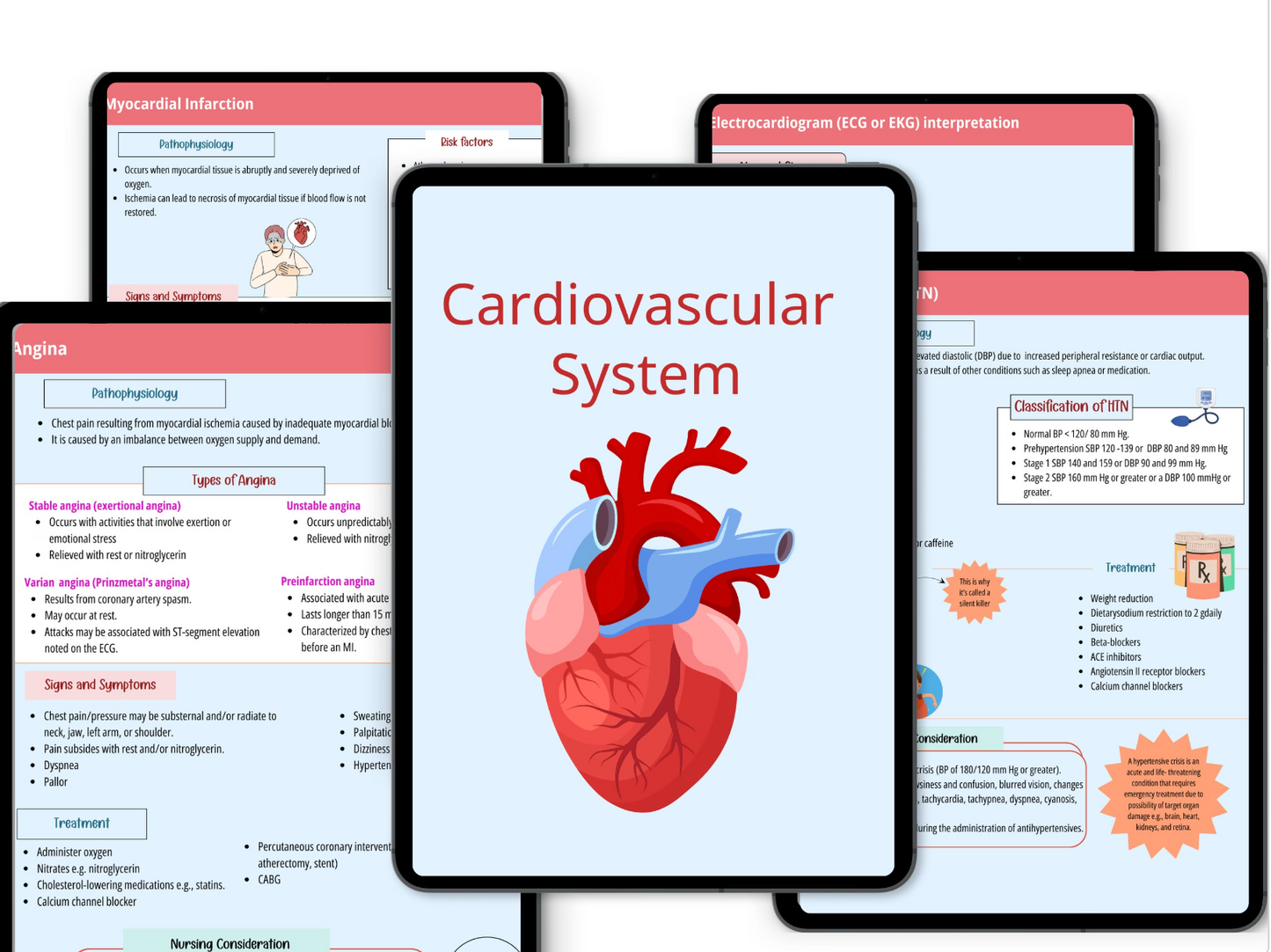 Cardiovascular System Notes