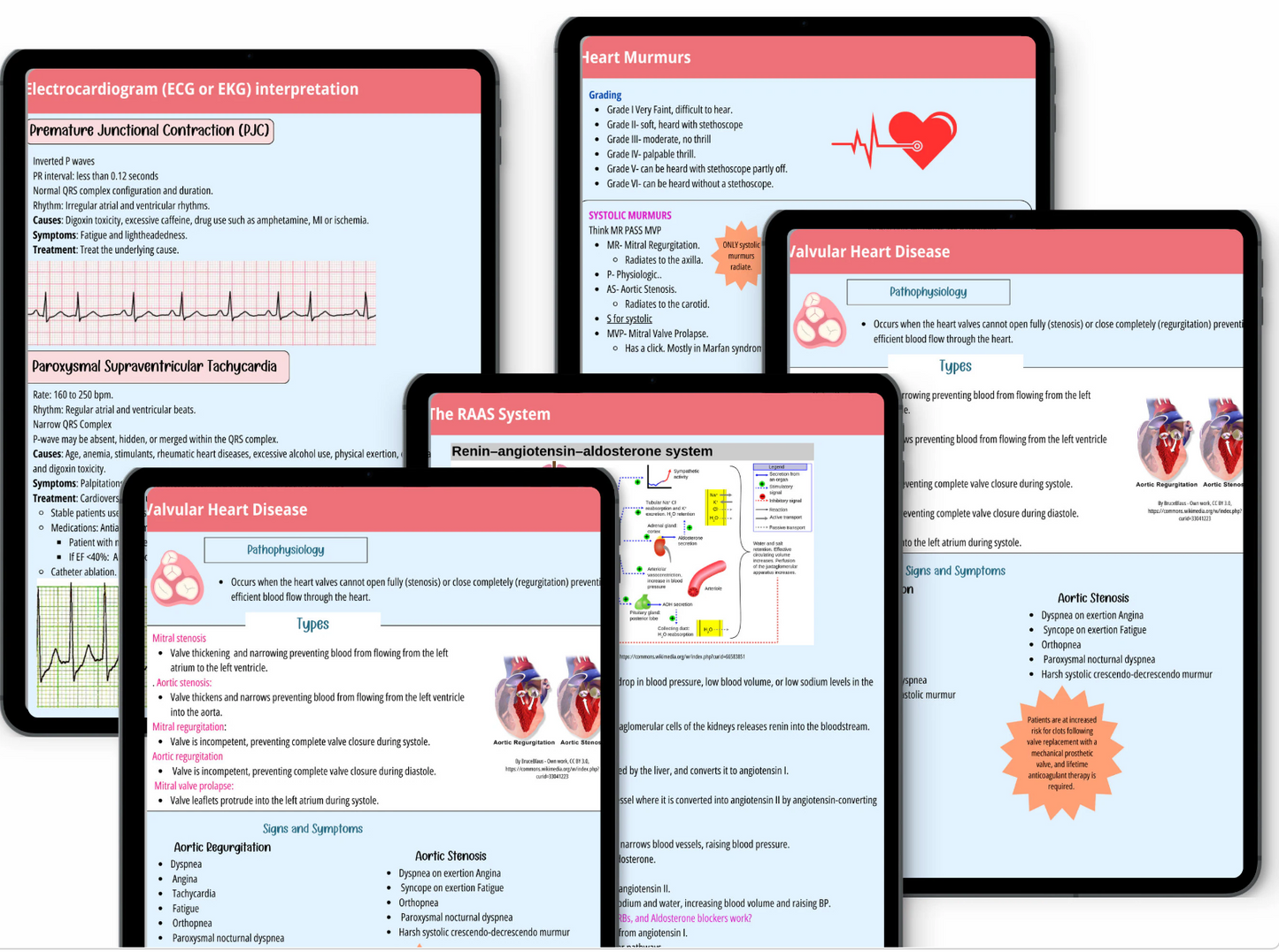 Cardiovascular System Notes