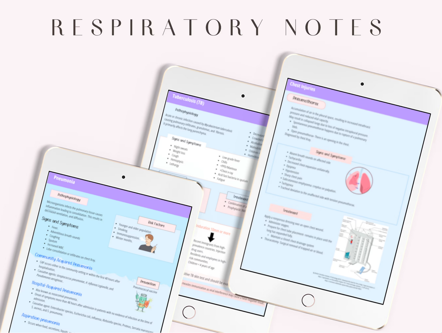 Respiratory System Notes