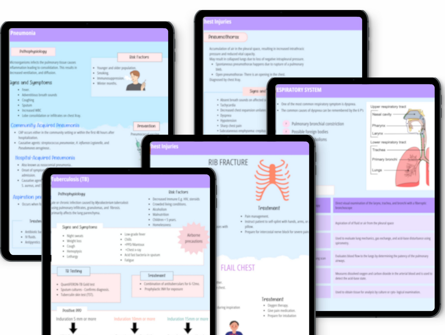 Respiratory System Notes